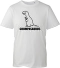 Grumpasaurus Dinosaur Dad Joke Men's Shirt Funny Dino Printed Design Gift Tee