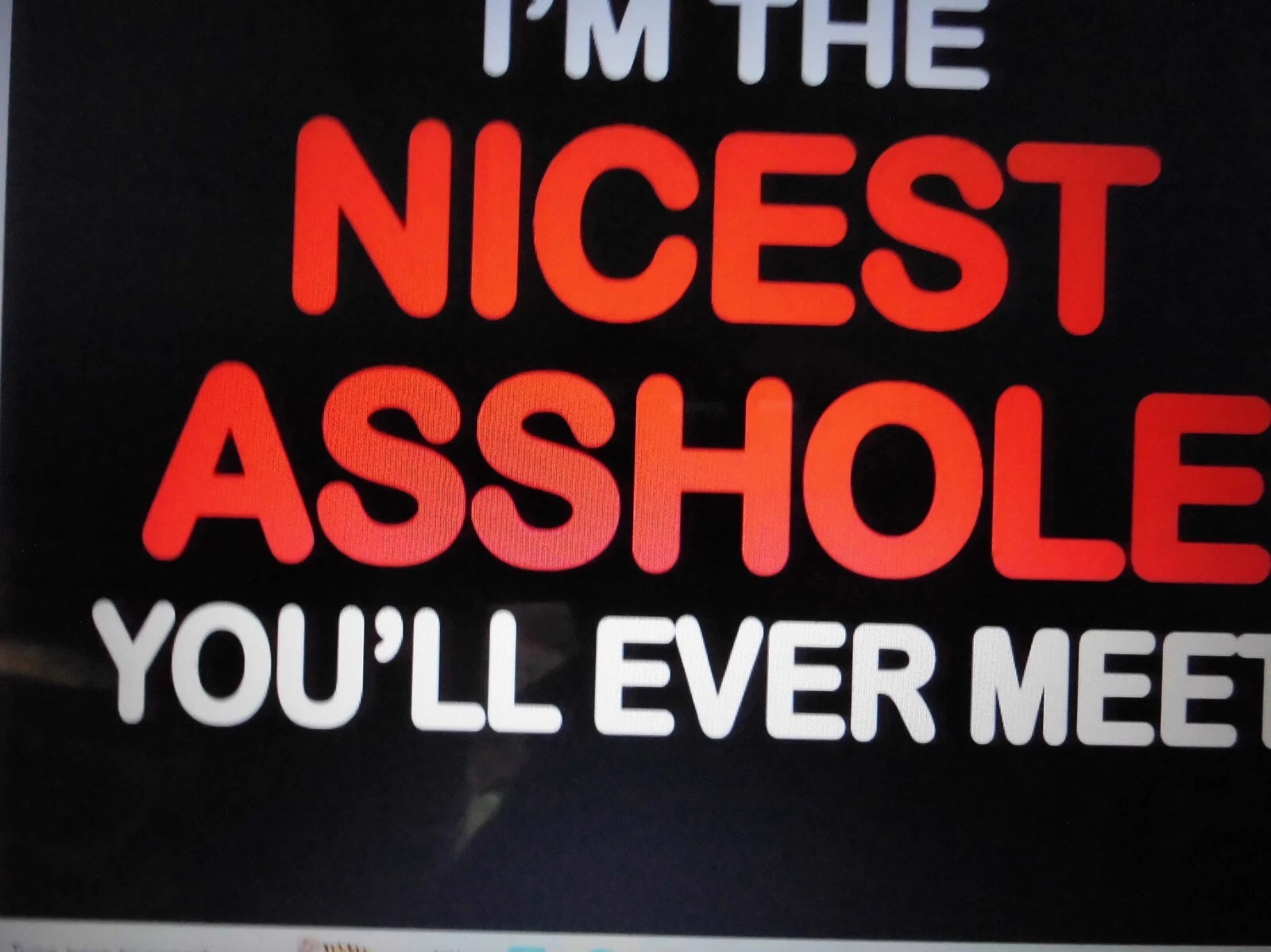 T-Shirt THE NICEST ASSHOL*  TRN - 050   Gildan, Hanes, or Jersey