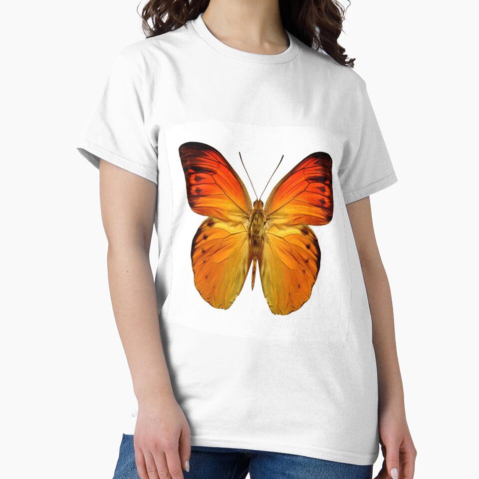 Beautiful Cushions/ Animals/ Butterfly Love by ozcushionstoo