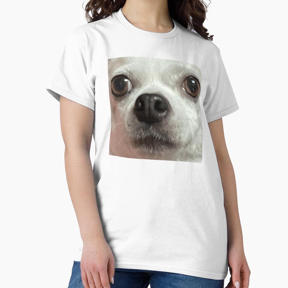 Taco the Chihuahua by ThunderRuler