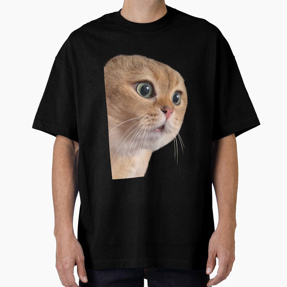 Cat boyfriend meme, 2 cat couple meme by Prime_Store