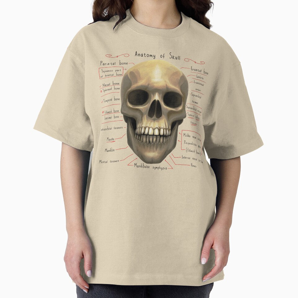 anatomy lesson (skull) by hayrpictures