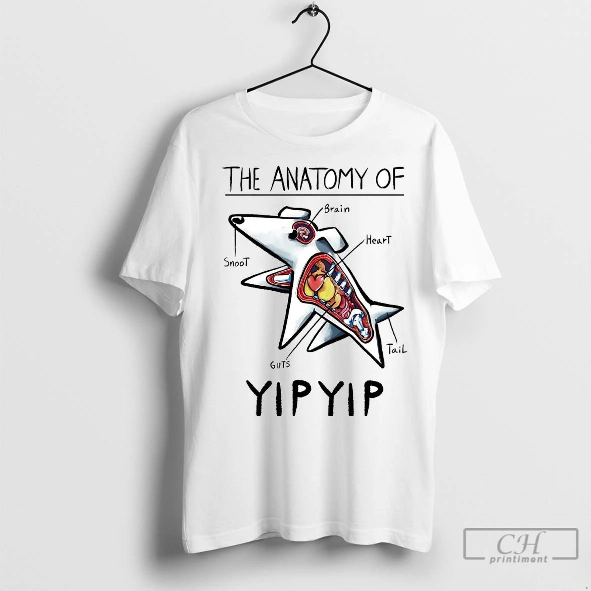 Premium The Anatomy Of Yip Yip
