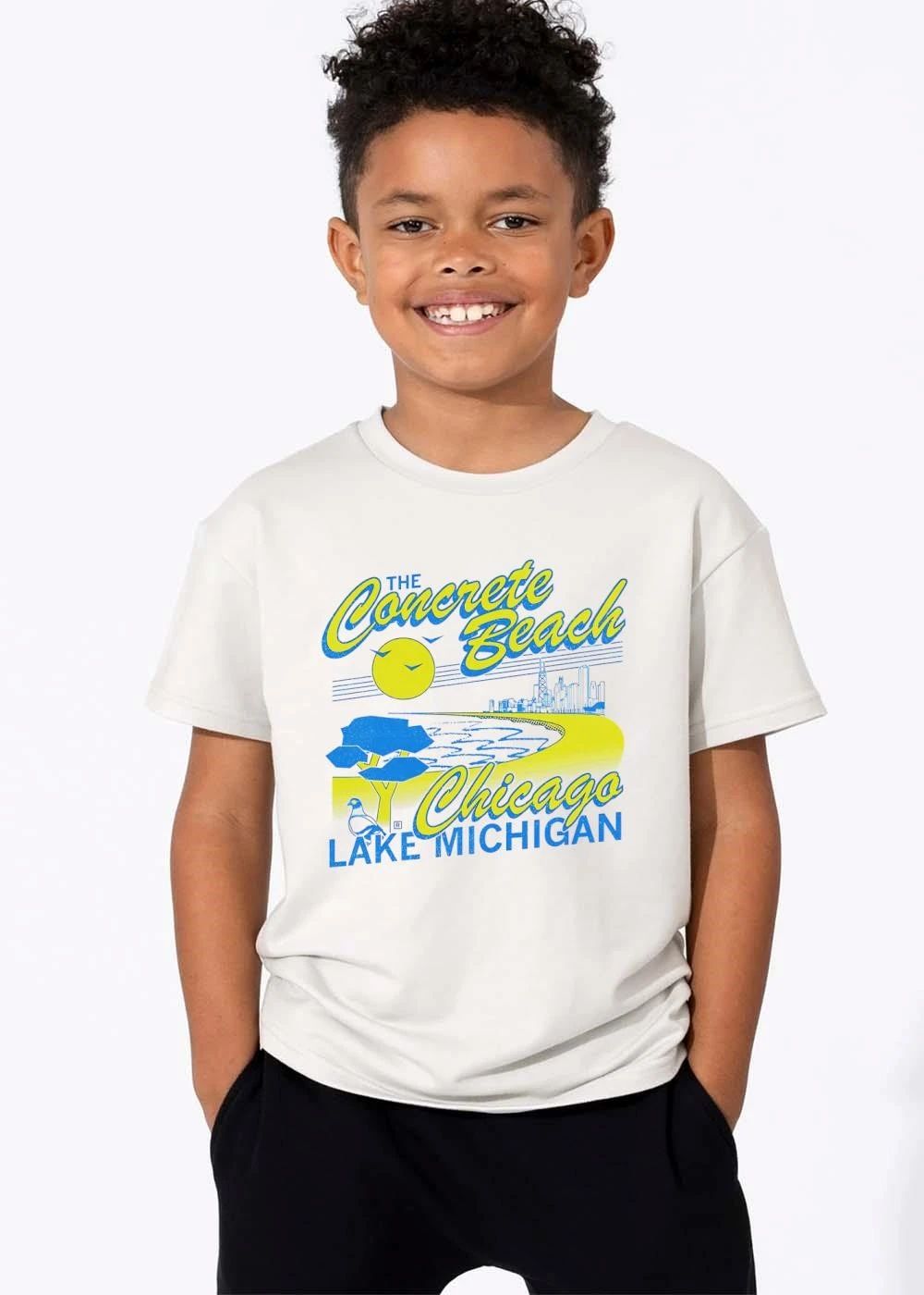 The Concrete Beach Chicago Lake Michigan Retro Sun Birds Skyline Pigeon shirt