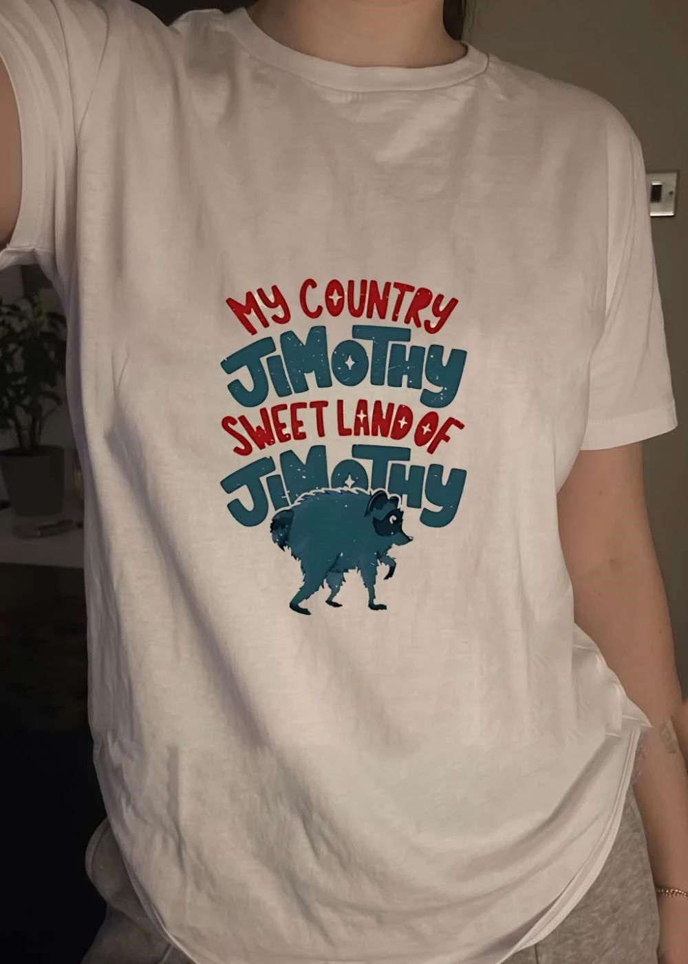 Raccoon Walking My Country Sweet Land of Jimothy shirt