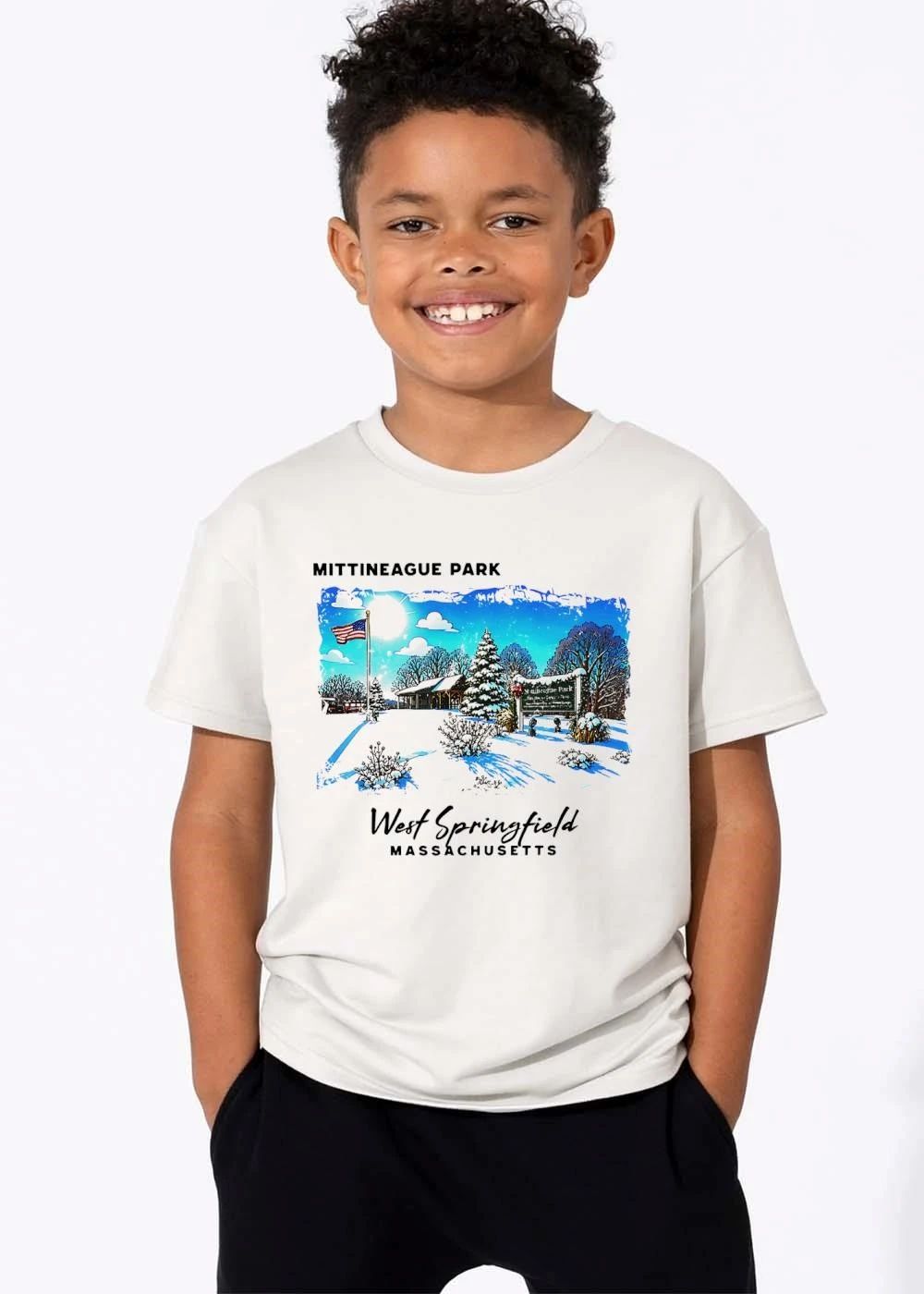 Mittineague Park West Springfield Massachusetts Snowy Winter Landscape American Flag Pavilion shirt