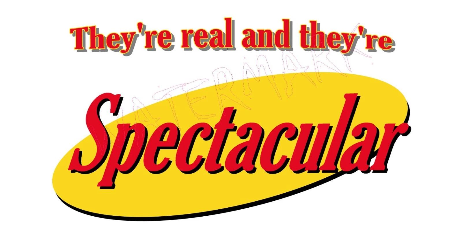 Seinfeld: They're Real and spectacular Breasts Hatcher Parody T-Shirt