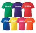 Seven 7 Dwarfs T-Shirt, Happy Costume Funny Dopey Bashful Unisex Kids Adults Top