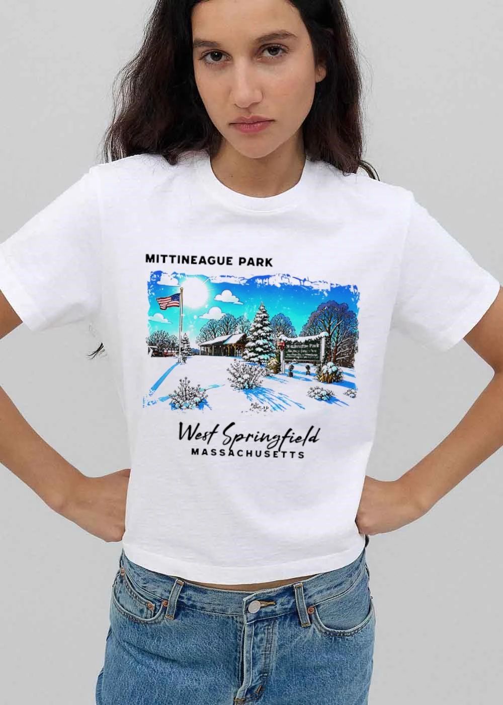 Mittineague Park West Springfield Massachusetts Snowy Winter Landscape American Flag Pavilion shirt