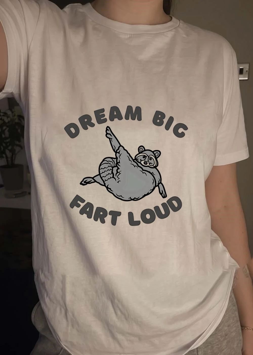 Funny Raccoon Apparel Dream Big Fart Loud T-Shirt
