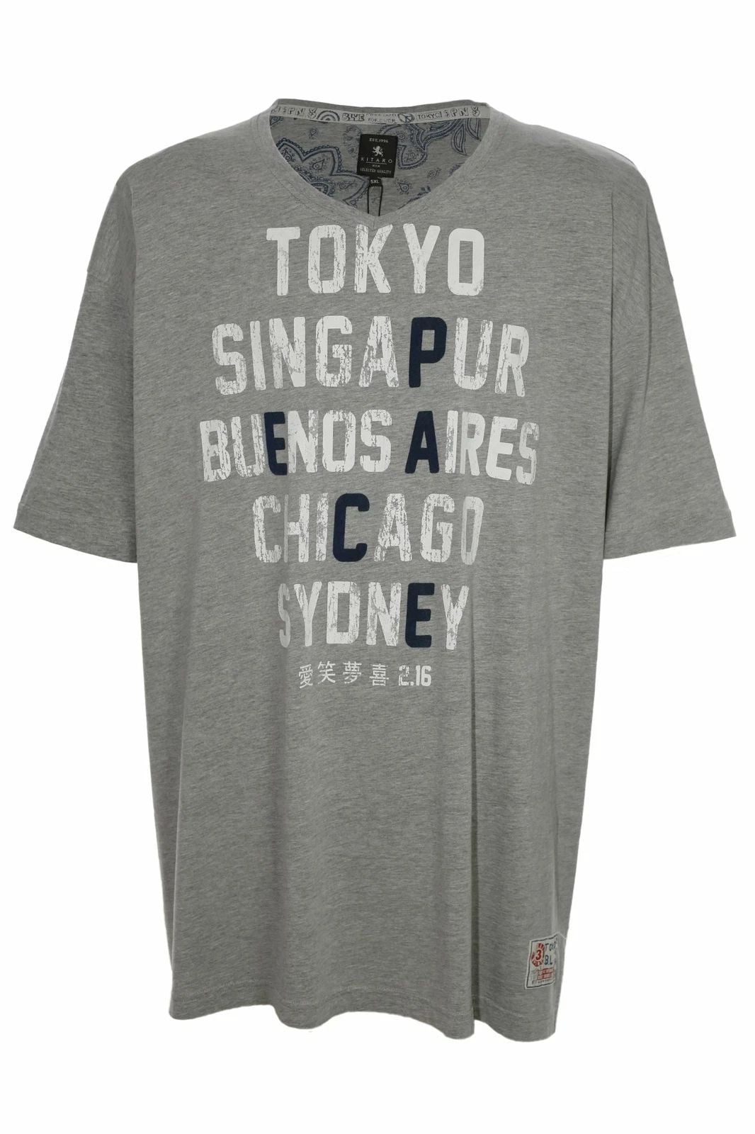 Kitaro T Shirt Mens Short Sleeve A-Neck Gray Size S XXL