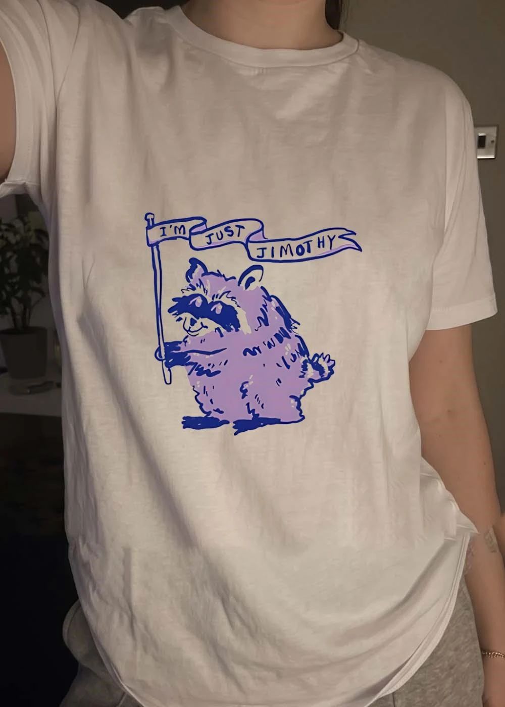 Cute Raccoon Holding a Flag I Am Just Jimothy shirt