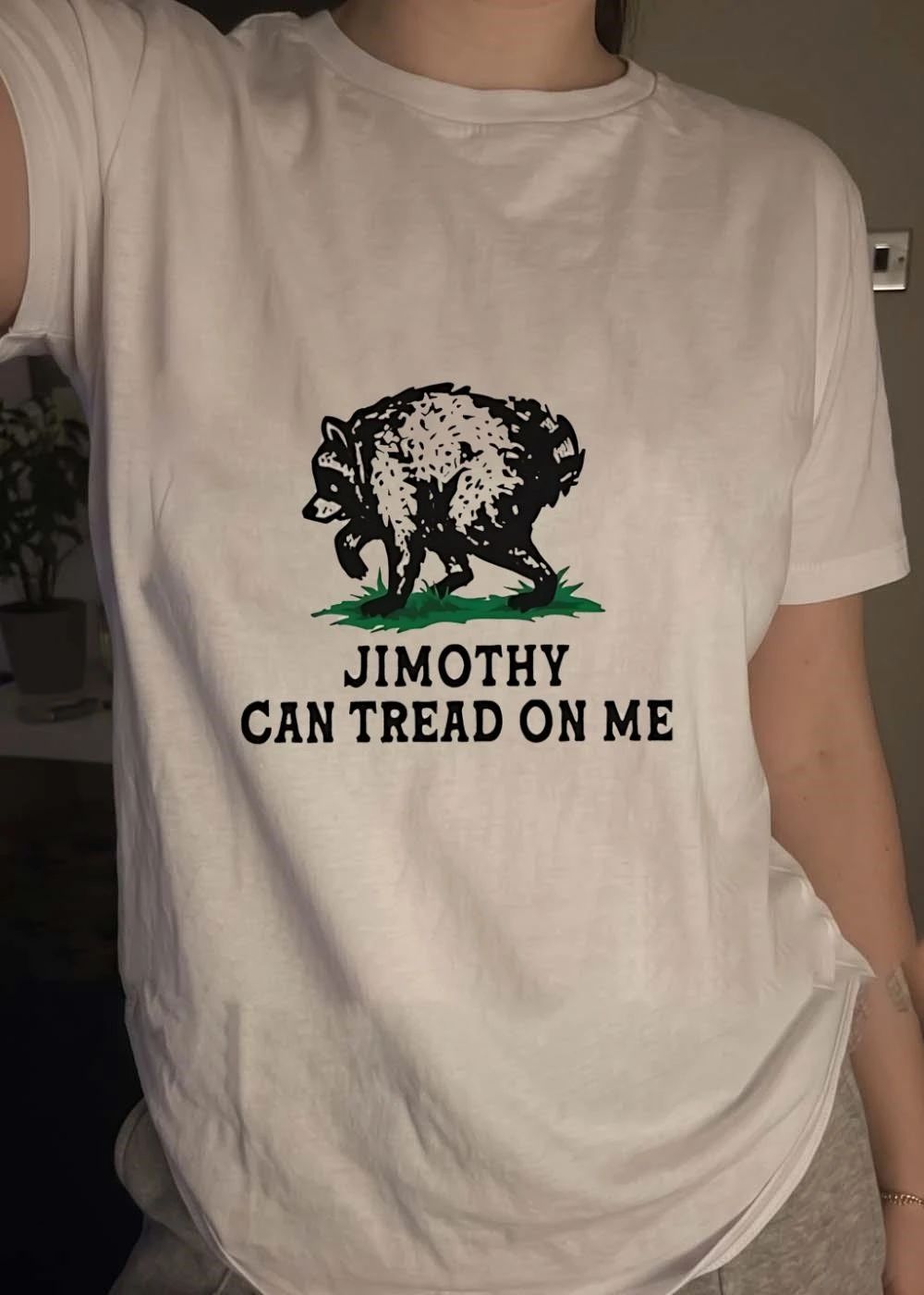 Jimothy Can Tread on Me Raccoon shirt